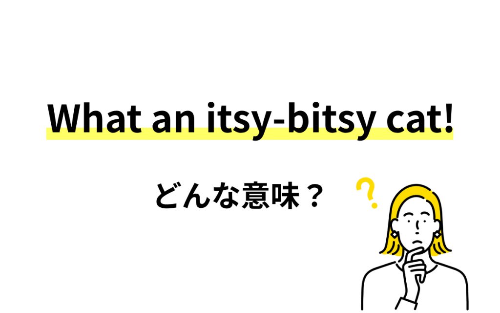 「What an itsy-bitsy cat!」と言われたら…? どんな猫? 【連載 大人の英語塾】 | Oggi.jp