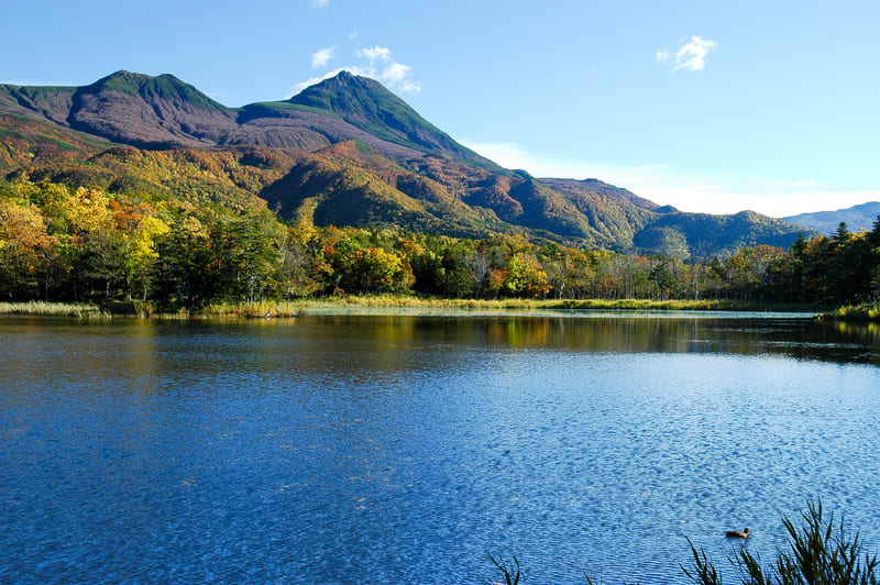 【一度は行ってみたい紅葉の名所ランキング】第２位（同率）：知床五湖（北海道）