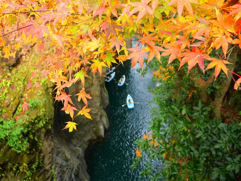 【一度は行ってみたい紅葉の名所ランキング】第４位：高千穂峡（宮崎県）