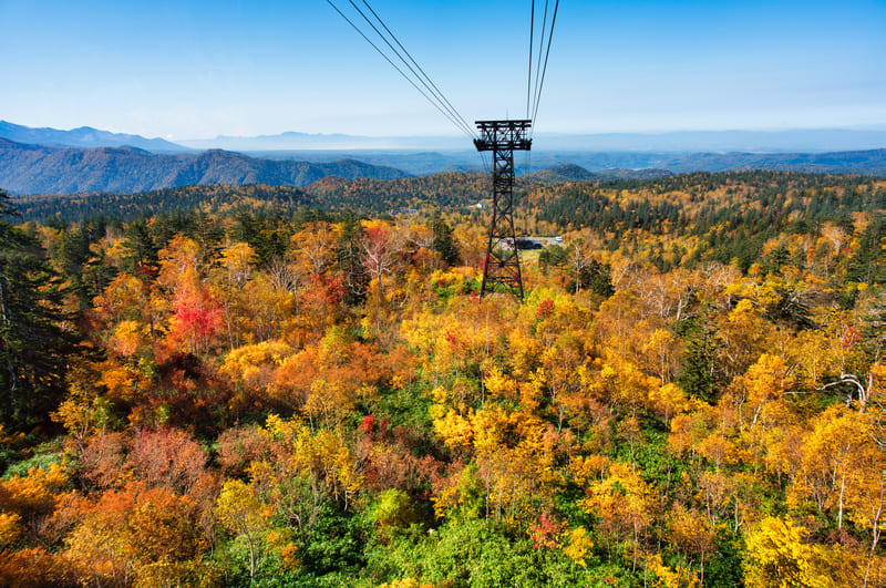 【一度は行ってみたい紅葉の名所ランキング】第７位（同率）：大雪山（北海道）