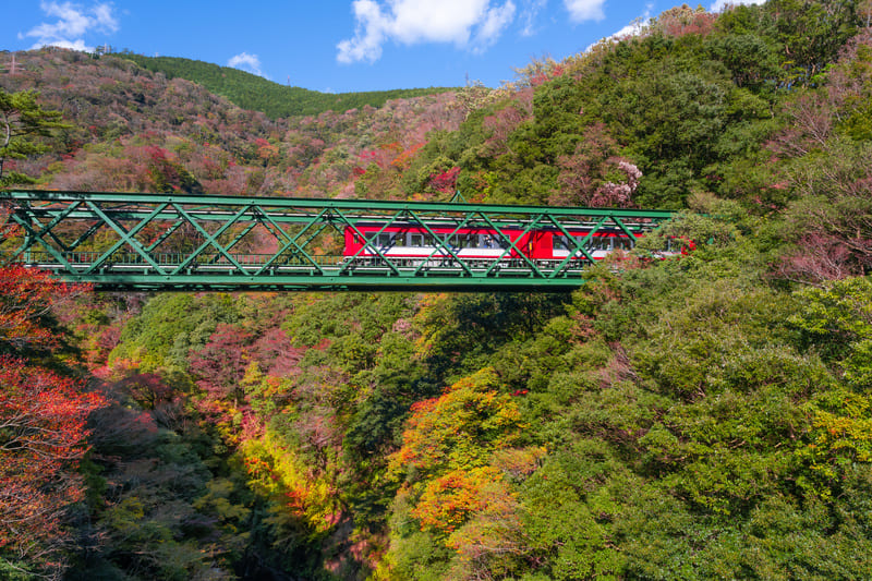 【一度は行ってみたい紅葉の名所ランキング】第９位：箱根（神奈川県）