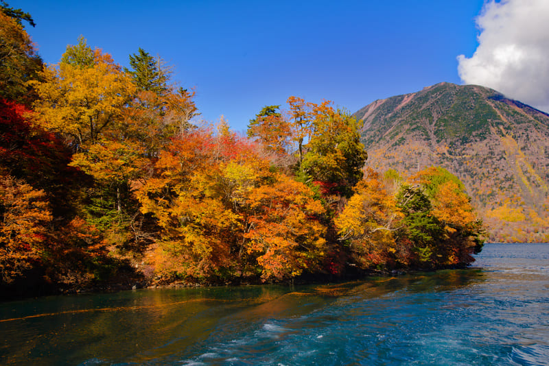 【一度は行ってみたい紅葉の名所ランキング】第10位：十和田湖（青森県）