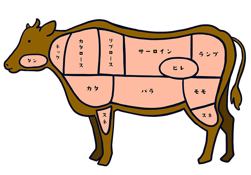 牛肉の部位名を図解したイラスト