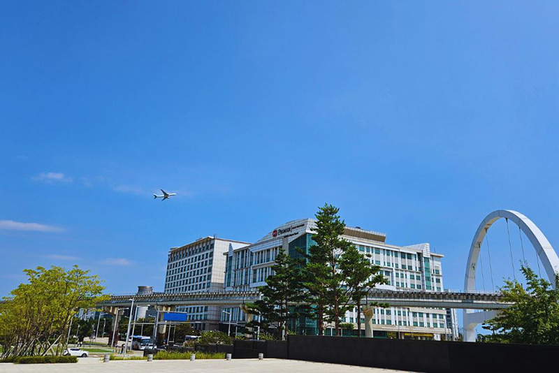 飛行機が飛ぶ様子