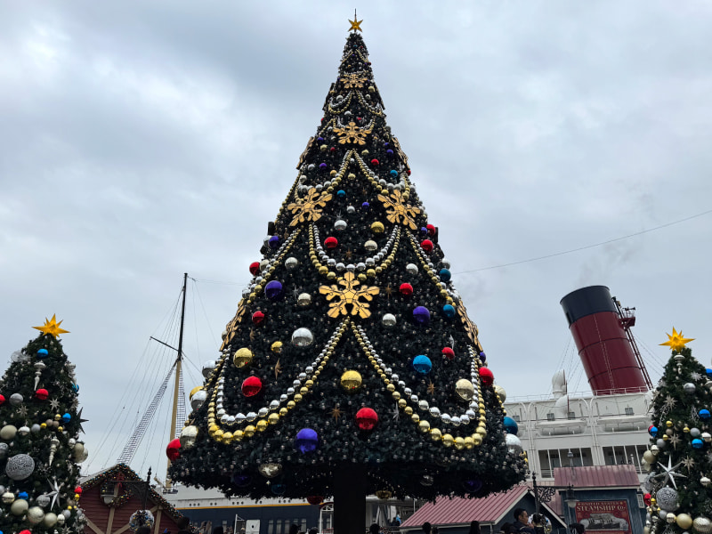 東京ディズニーリゾート】2024年のディズニー・クリスマス