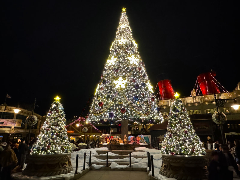 東京ディズニーリゾート】2024年のディズニー・クリスマス