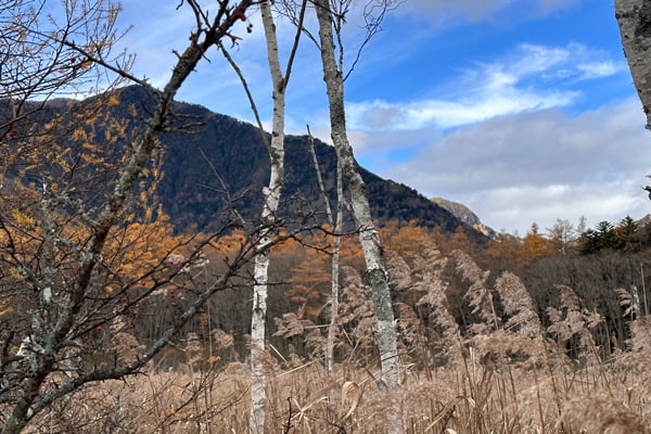 戦場ヶ原 男体山