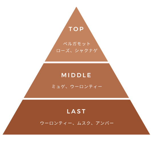 ウーロンティーの香りのピラミッド図