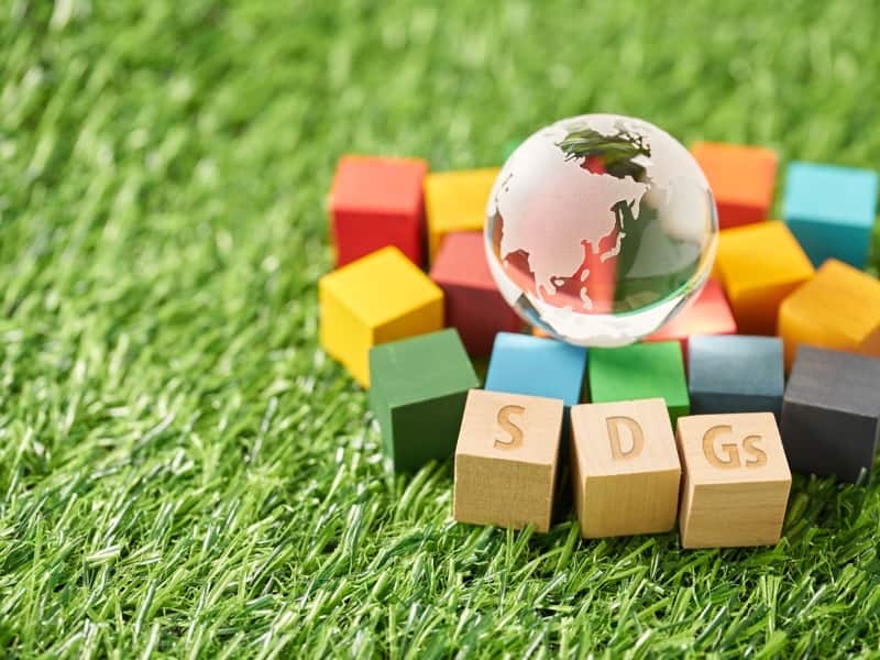 SDGS