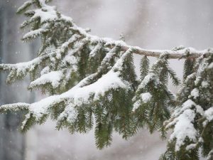 「否応なく」とは? 意味・使い方・言い換え表現を簡単に確認 | Oggi.jp