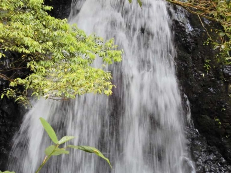 禊とは違うの？「水垢離」の読み方と意味、やり方の基本を解説 | Oggi.jp