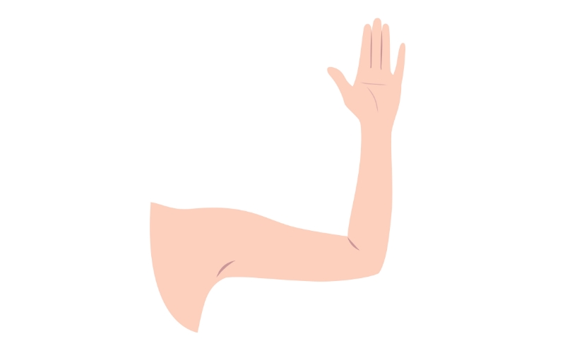 女性の二の腕 イラスト