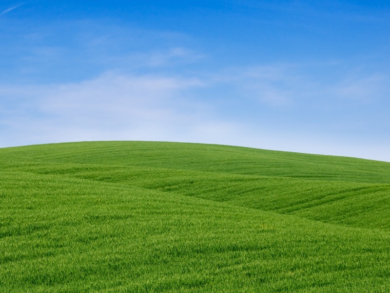 山