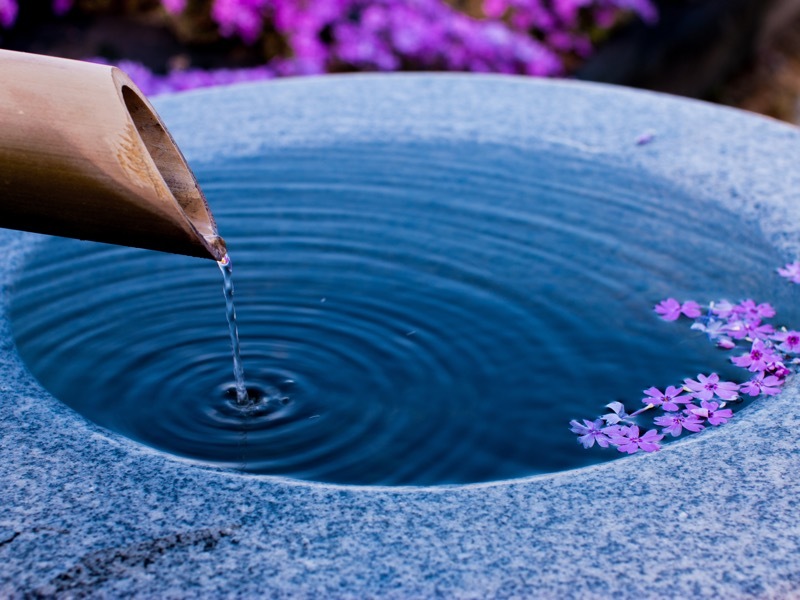 水にうかぶ花