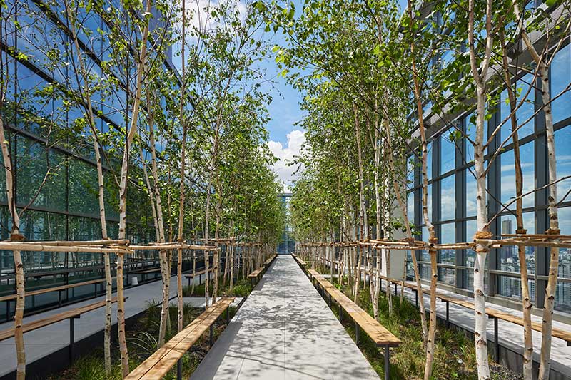 屋上庭園