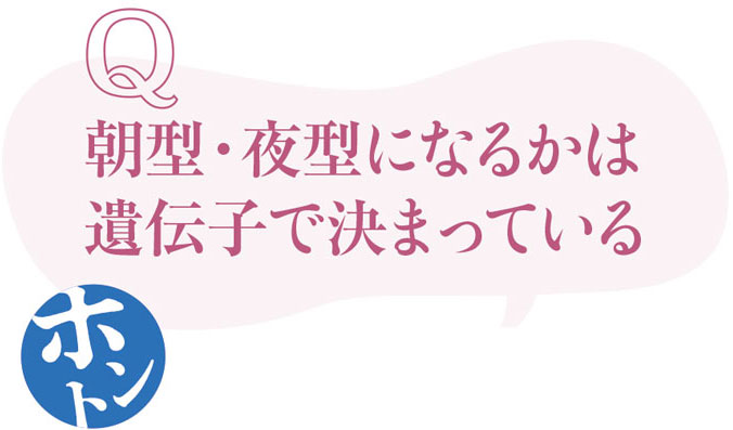 睡眠にまつわるウソ・ホント