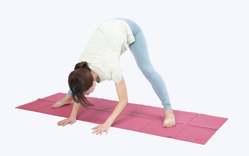 プラサリータ・パードッターナ・アーサナ③