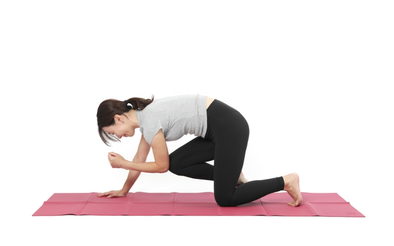 ヨガ：トラのポーズ④