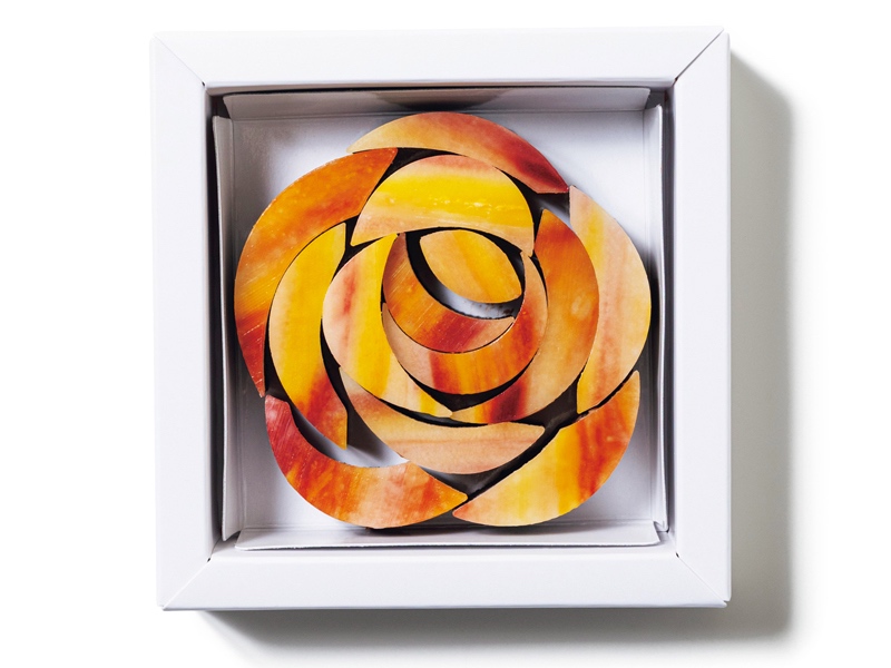 「Sachi Takagi」の〝Orange〟