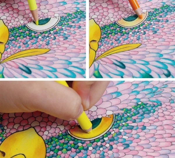 鷲のぬりえの目の部分に色を塗っている最中の写真