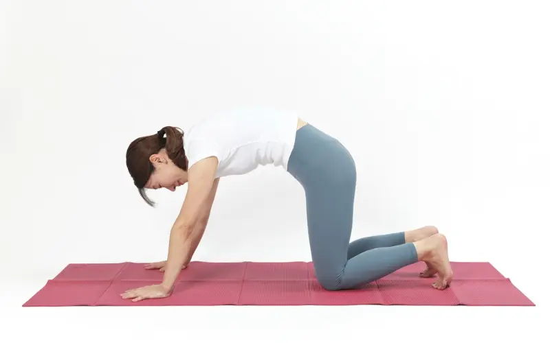 四つ這いでお腹の筋トレ②