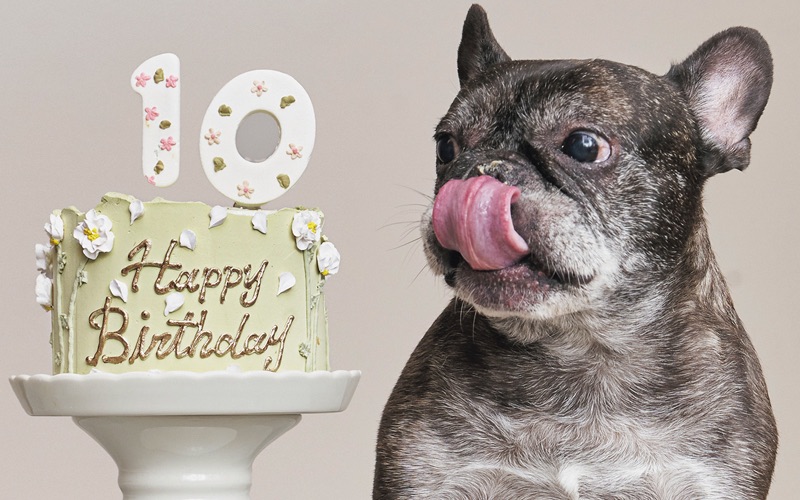 みのるちゃん(10)