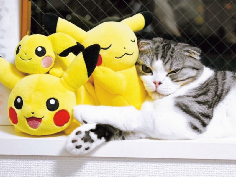 もちきち君（4）