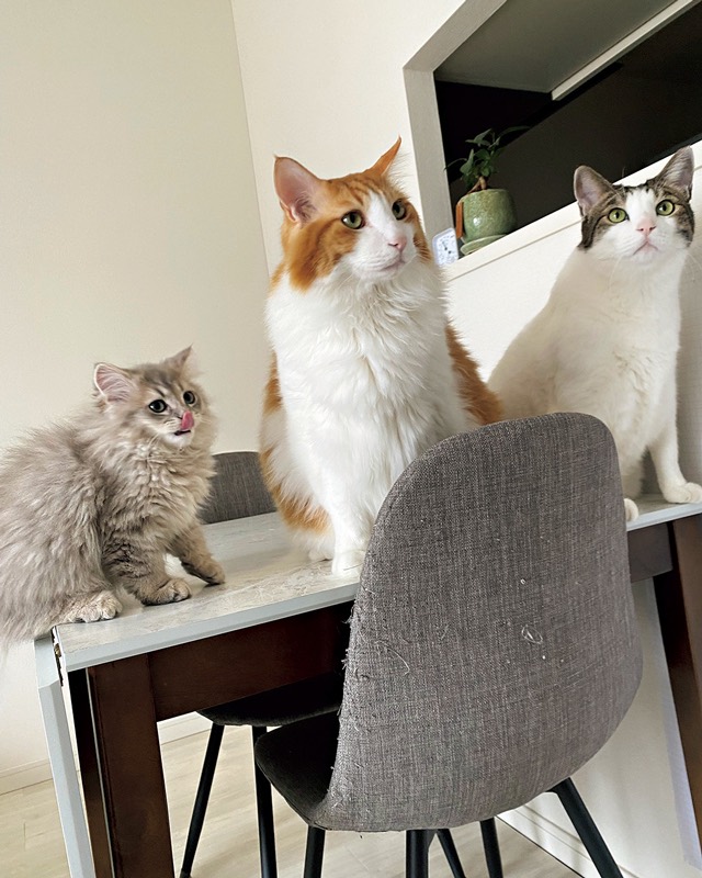 フィル君（3）＆ジョン君（11）＆リッチー君（11）