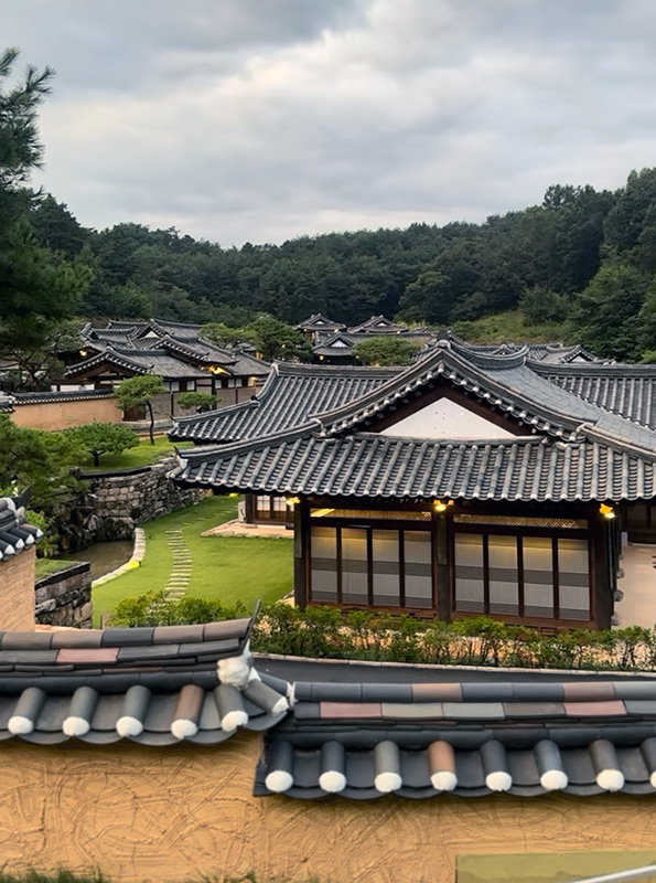 Rakkojae Hahoe Hanok Hotelを高台から撮影した写真