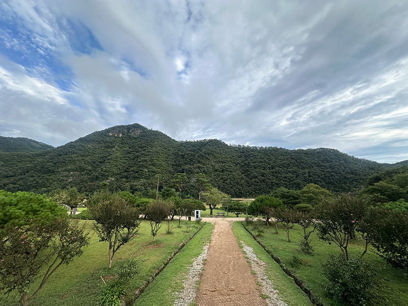 美しい山と山道の写真