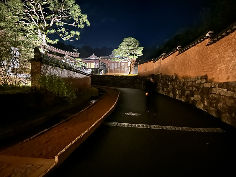 夜の道の写真。写真の先にライトアップされた建物が写っている