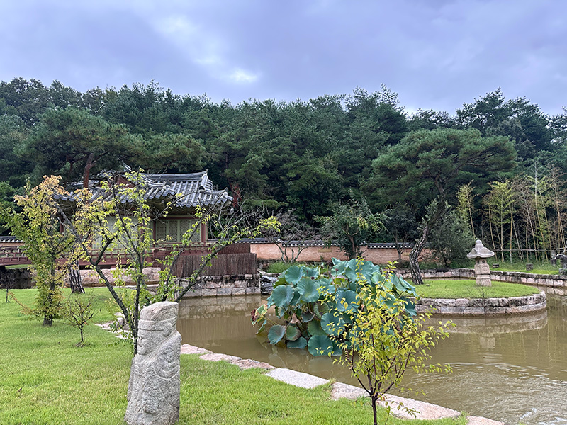 美しい庭園の写真