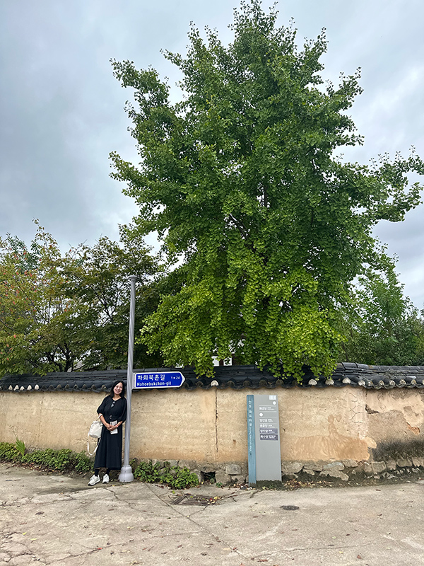 電柱の下で撮影した写真