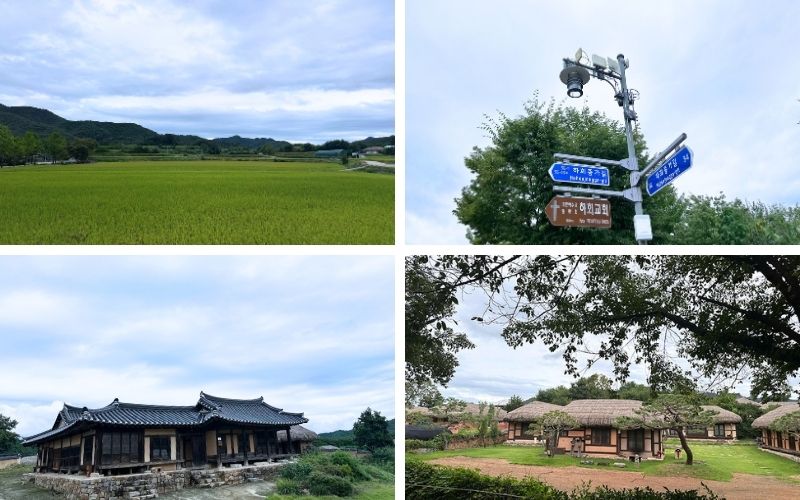 のどかな風景の写真