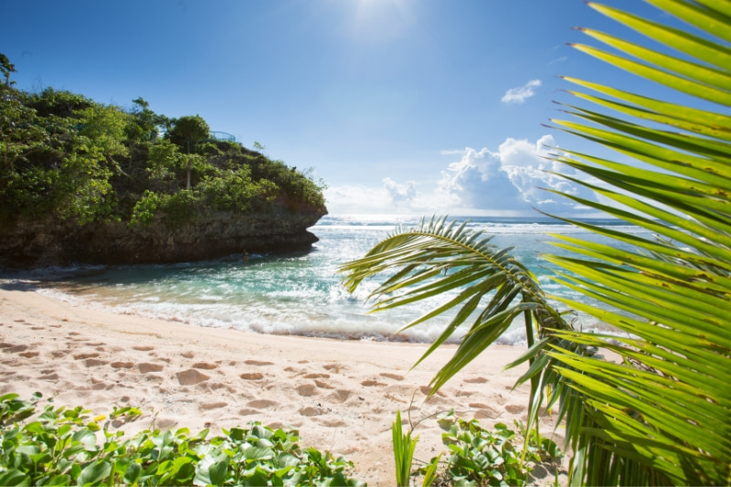 グアムのビーチの写真