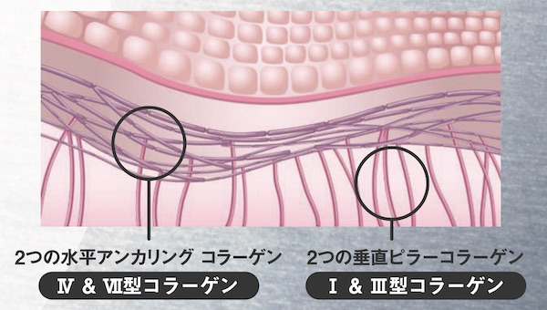 次世代美容医療