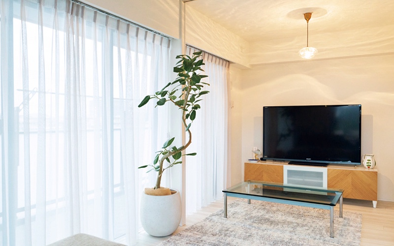 専属読者モデル・オッジェンヌ 五百旗頭祐佳さん(27歳・メーカー) マイホーム