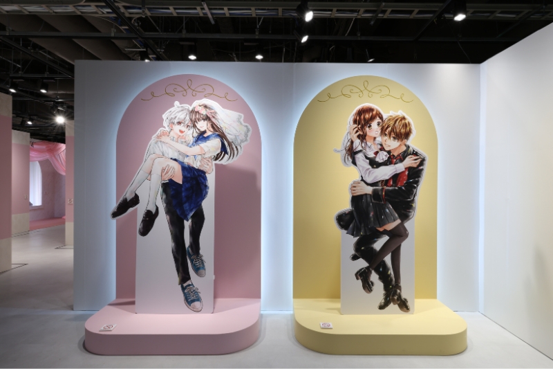 飾られているパネルの写真