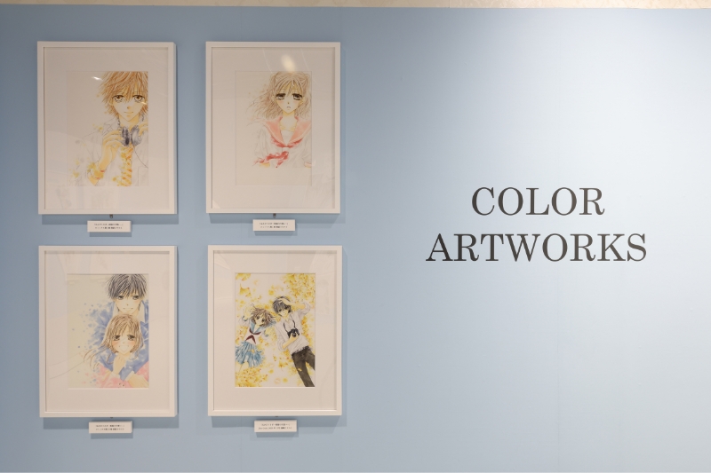 『なみだうさぎ～制服の片想い～』の原画の写真