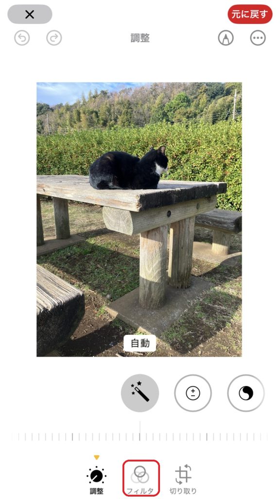画像の編集画面。フィルタマークが赤で囲まれている