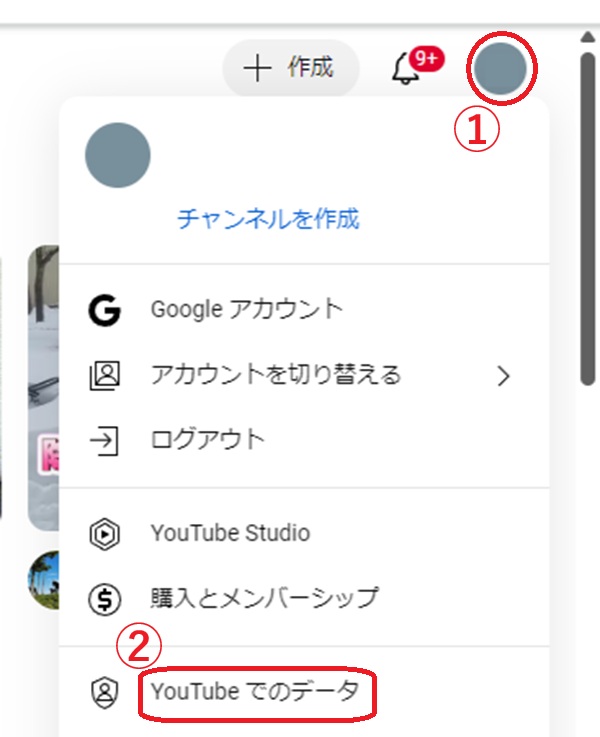 Youtubeでのデータという部分を赤で囲んでいる画像