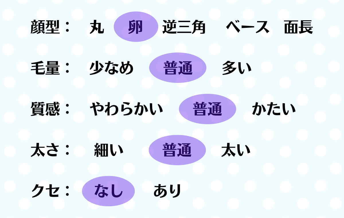 顔型：卵、毛量：普通、質感：普通、太さ：普通、クセ：なし