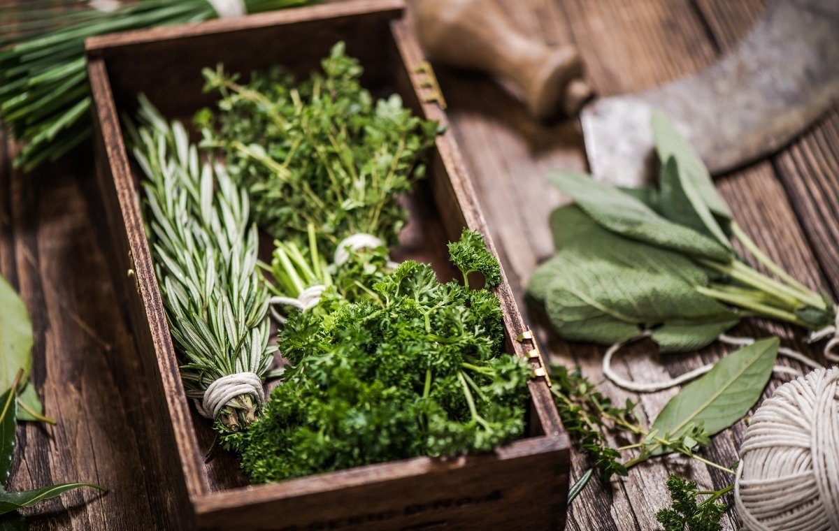 木箱に入ったさまざまなハーブの写真
