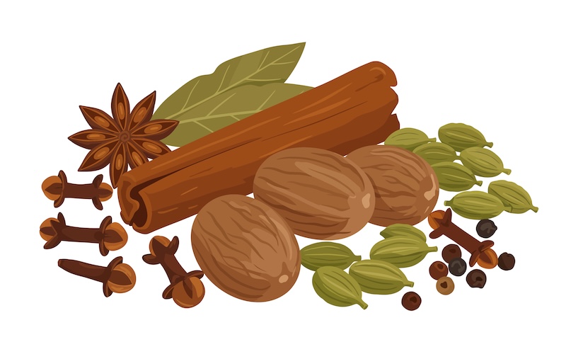 スパイスのイラスト