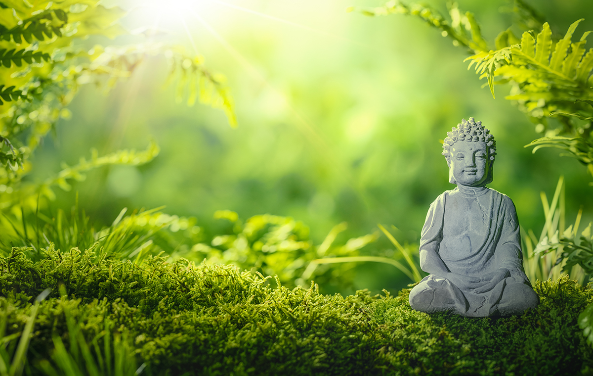 小さな仏像がコケの上に置かれ光が当たっている様子