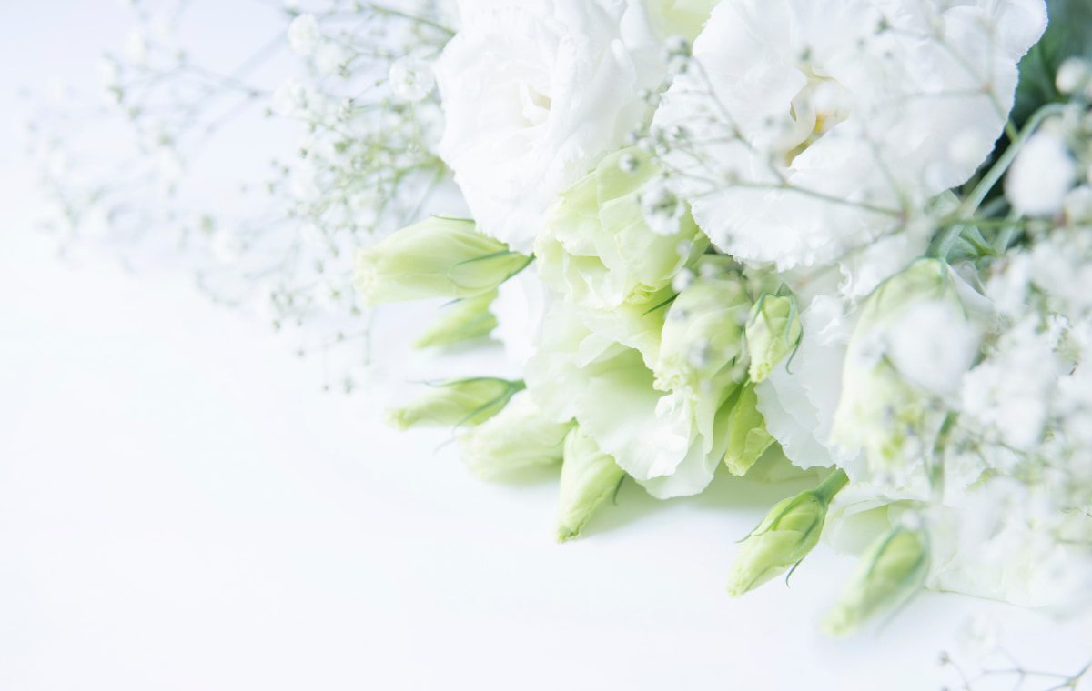 白い花束の写真