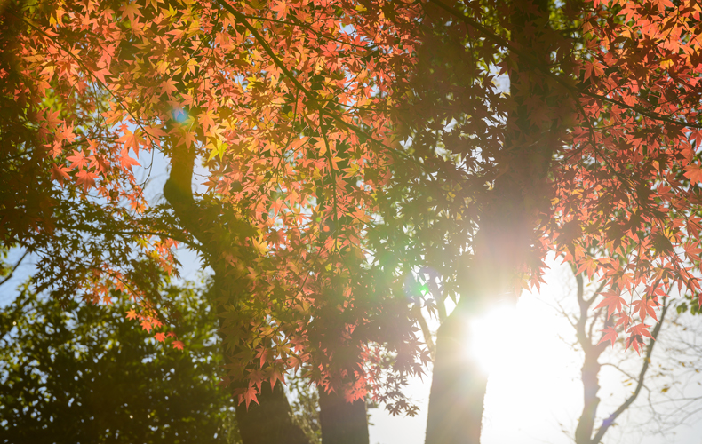 時候の挨拶 9月下旬