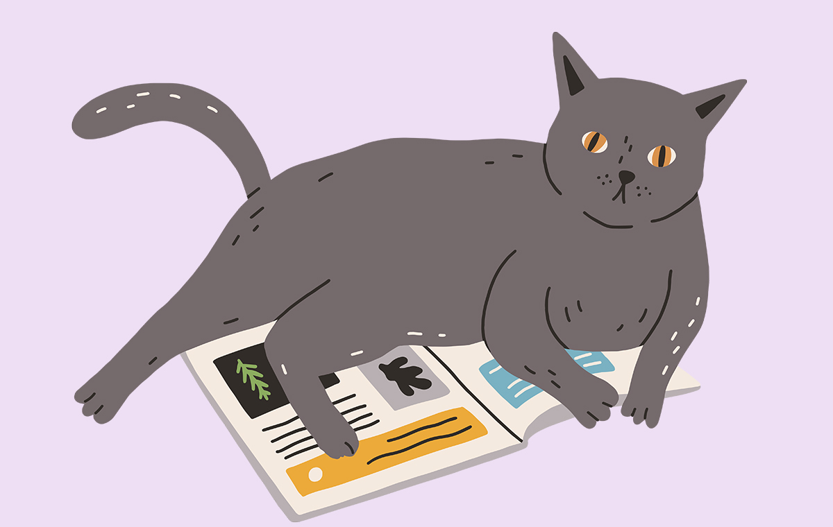 開いた雑誌の上に乗る猫のイラスト