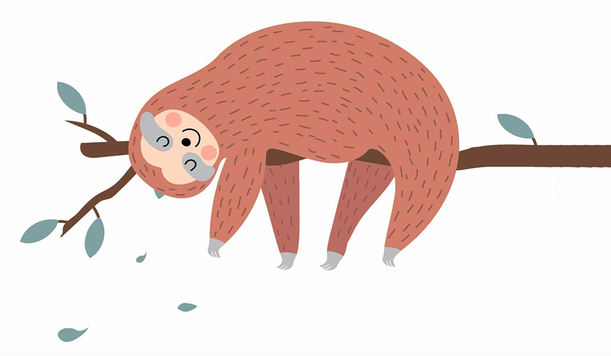 ナマケモノが木の上にぶら下がっている様子 イラスト