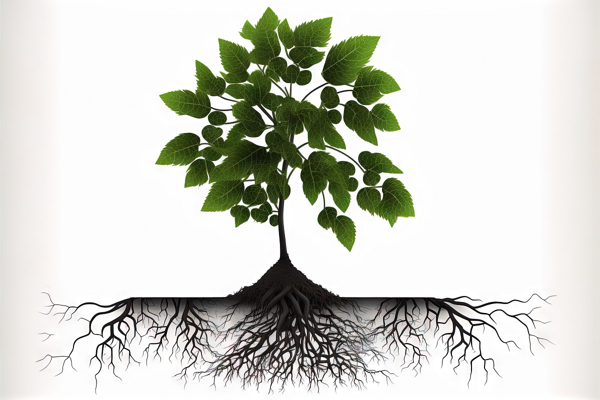 白い背景に緑の葉と根を持つ木のイラスト